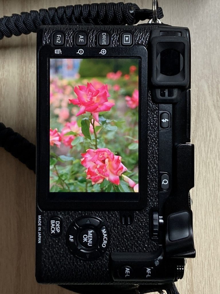 12年目の現役選手・FUJIFILM X-E2” – – フジとライカとラジオミールの